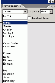    Adobe InDesign CS2
