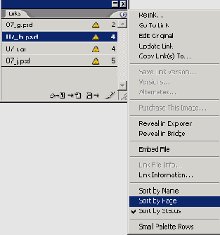    Adobe InDesign CS2
