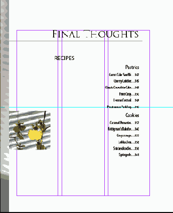    Adobe InDesign CS2
