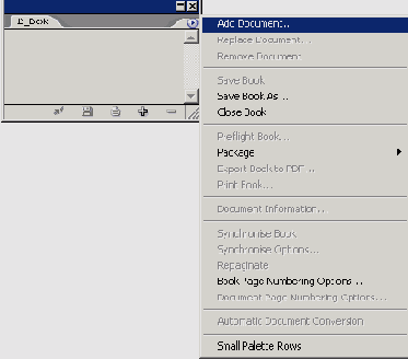   Adobe InDesign CS2

