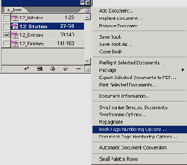    Adobe InDesign CS2
