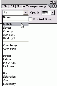    InDesign

