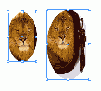    InDesign
