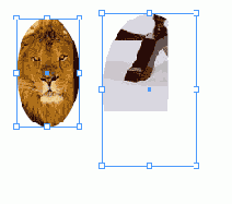    InDesign
