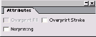    InDesign
