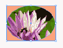    InDesign
