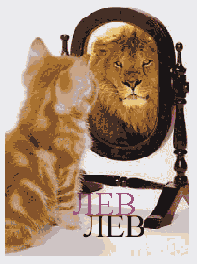    InDesign
