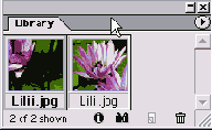    InDesign
