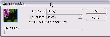    InDesign
