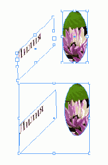    InDesign

