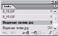    InDesign
