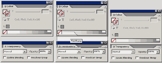 Adobe InDesign CS2
