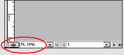 Adobe InDesign CS2
