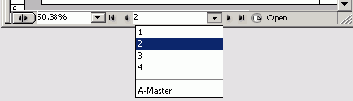 Adobe InDesign CS2
