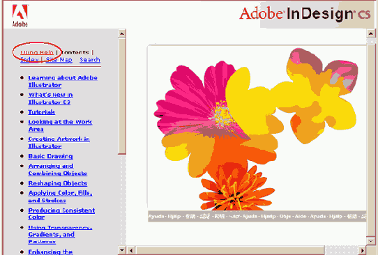 Adobe InDesign CS2
