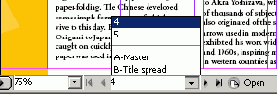 Adobe InDesign CS2
