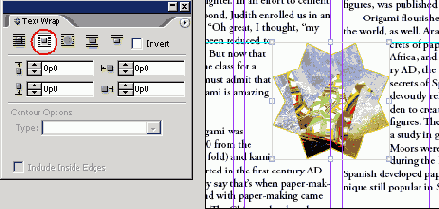 Adobe InDesign CS2
