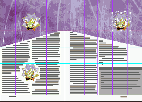 Adobe InDesign CS2
