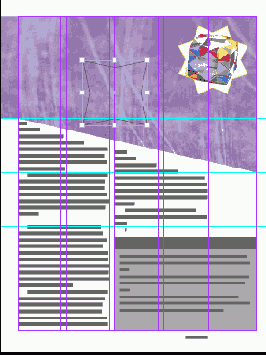 Adobe InDesign CS2
