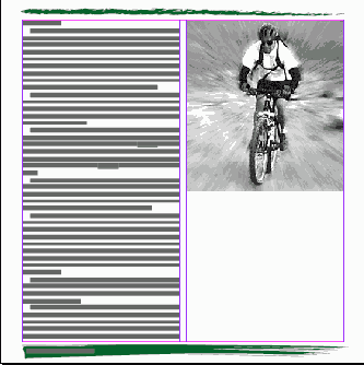 Adobe InDesign CS2
