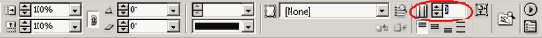 Adobe InDesign CS2
