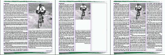 Adobe InDesign CS2
