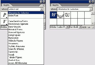 Adobe InDesign CS2
