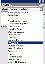 Adobe InDesign CS2

