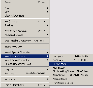 Adobe InDesign CS2
