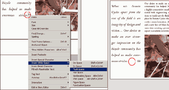 Adobe InDesign CS2
