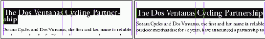 Adobe InDesign CS2

