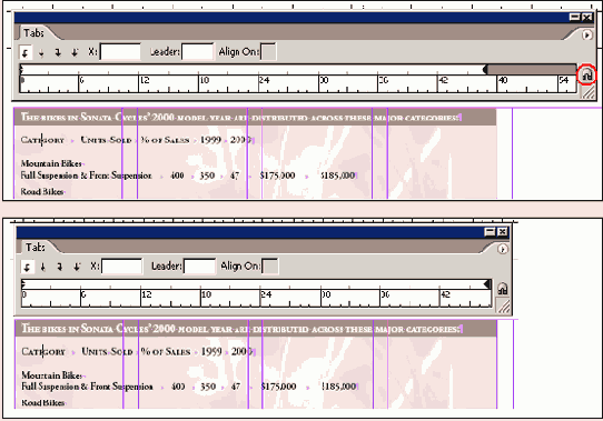 Adobe InDesign CS2
