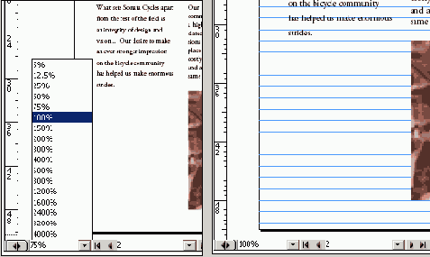 Adobe InDesign CS2
