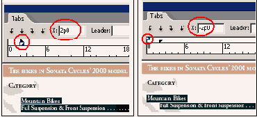 Adobe InDesign CS2
