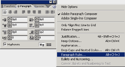 Adobe InDesign CS2
