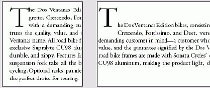 Adobe InDesign CS2
