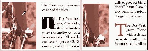 Adobe InDesign CS2
