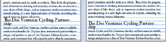 Adobe InDesign CS2
