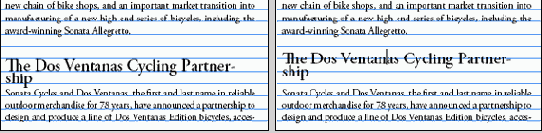 Adobe InDesign CS2
