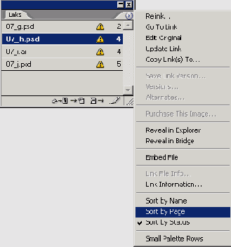 Adobe InDesign CS2
