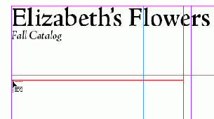 Adobe InDesign CS2
