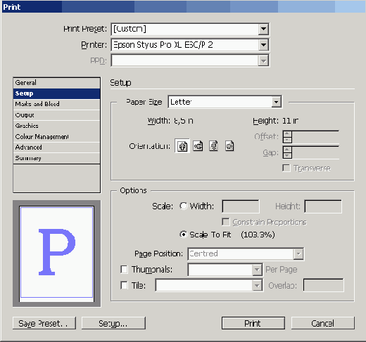 Adobe InDesign CS2
