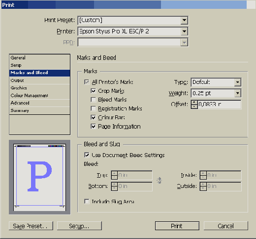 Adobe InDesign CS2
