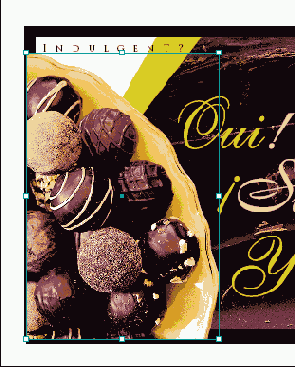 Adobe InDesign CS2
