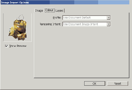 Adobe InDesign CS2
