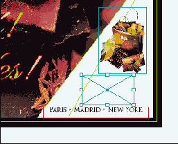 Adobe InDesign CS2
